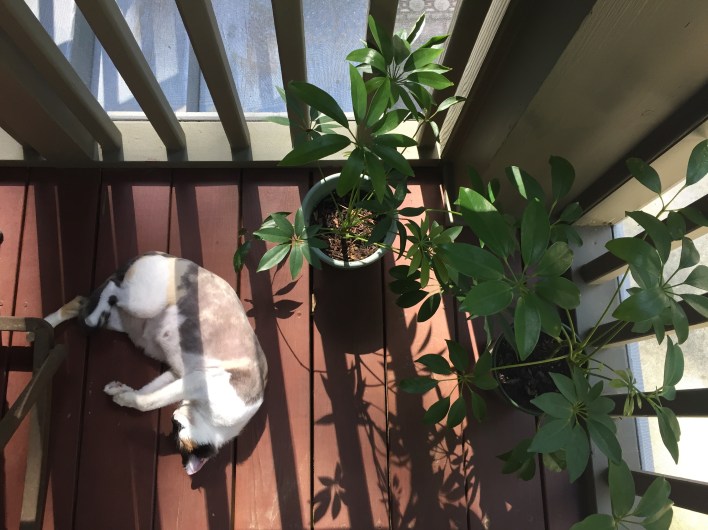 FullSizeRender 3.jpg